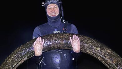 Гигантский бивень мамонта неожиданно «выловили» на рыбалке в России Гигантский бивень мамонта неожиданно «выловили» на рыбалке в России