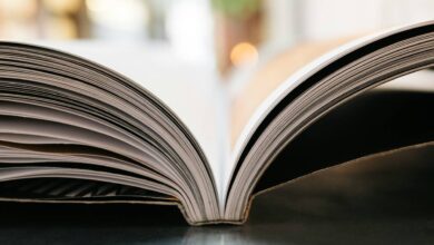 В России выйдет эксклюзивная книга французского автора В России выйдет эксклюзивная книга французского автора