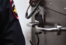 Раскрыты подробности ареста четырех россиянок-террористок