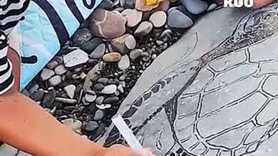 Россиянка нашла необычный способ отучить отдыхающих мусорить на пляже Россиянка нашла необычный способ отучить отдыхающих мусорить на пляже