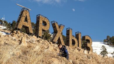 На российском курорте открыли самый высокий подвесной мост в стране