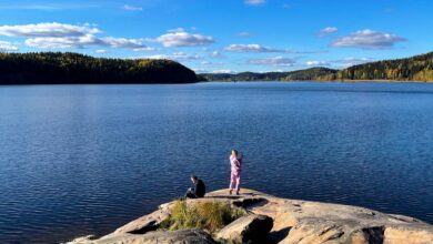 Туристы стали больше путешествовать по России