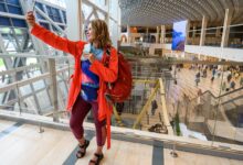 Российским туристам посоветовали проверять наличие долгов перед путешествиями