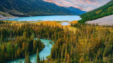 Названы регионы России с самой красивой осенью