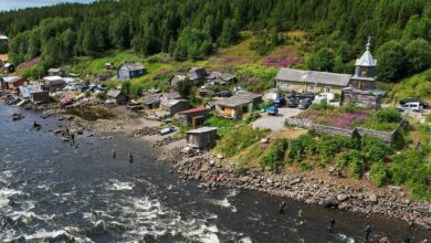 В правительстве Мурманской области оценили ход реализации плана «На Севере – жить!»