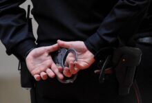 Чиновник Новосибирска нажился на продаже земли со снегоплавильной станцией