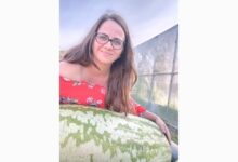 На заднем дворе у россиянки выросла «галактика» На заднем дворе у россиянки выросла «галактика»