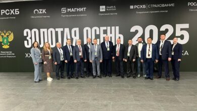 Колыванский район на Золотой осени 2025: стратегия, инвестиции, итоги Колыванский район на Золотой осени 2025: стратегия, инвестиции, итоги