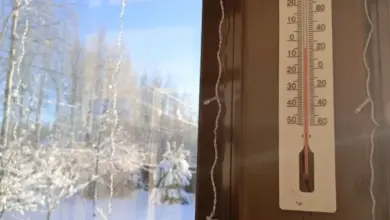 Прогноз погоды в Новосибирске на декабрь 2025: морозы и снег Прогноз погоды в Новосибирске на декабрь 2025: морозы и снег