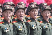 Северокорейские военнослужащие в России для восстановительных работ