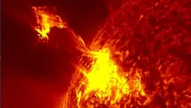 Магнитная буря 6 ноября 2025: Прогноз геомагнитного возмущения Магнитная буря 6 ноября 2025: Прогноз геомагнитного возмущения