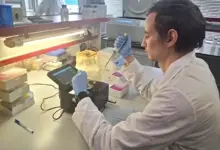 Российское лекарство от метаболического синдрома и диабета 2 типа Российское лекарство от метаболического синдрома и диабета 2 типа