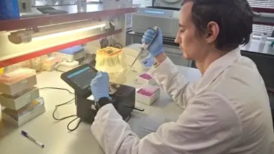 Российское лекарство от метаболического синдрома и диабета 2 типа