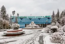 Новосибирский зоопарк: обмен животными с Баку и новые обитатели