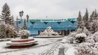 Новосибирский зоопарк: обмен животными с Баку и новые обитатели