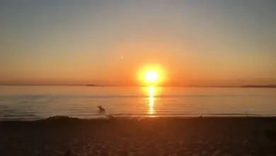 Погода в Новосибирске: прогноз на декабрь, потепление и снег