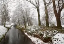 Похолодание в Новосибирске: прогноз погоды и морозы с 10 ноября