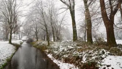 Похолодание в Новосибирске: прогноз погоды и морозы с 10 ноября Похолодание в Новосибирске: прогноз погоды и морозы с 10 ноября