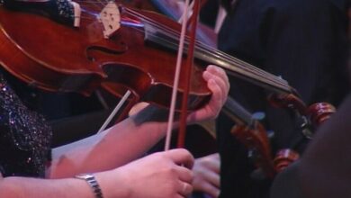 Где взять литавры и контрафагот: в Новосибирске началось импортозамещение музыкальных инструментов