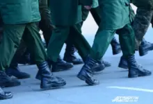 Архив Новосибирска: СВО, документы, память и герои современности