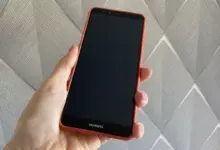 Новосибирск: Цифровизация охоты и биотехнических мер в РФ Новосибирск: Цифровизация охоты и биотехнических мер в РФ