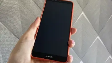 Новосибирск: Цифровизация охоты и биотехнических мер в РФ