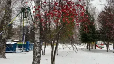 Морозы и снегопады: прогноз погоды в Новосибирской области на ноябрь Морозы и снегопады: прогноз погоды в Новосибирской области на ноябрь