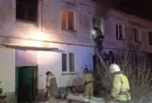 Пожар в Марусино: МЧС Новосибирска спасло людей и животных Пожар в Марусино: МЧС Новосибирска спасло людей и животных