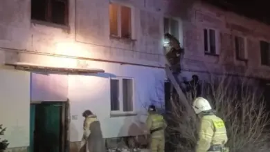 Пожар в Марусино: МЧС Новосибирска спасло людей и животных Пожар в Марусино: МЧС Новосибирска спасло людей и животных