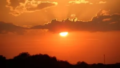 Погода в Новосибирске на выходные: потепление, снег и гололедица 7-8 ноября