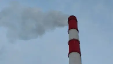 Искитим: Проект «Чистый воздух» и улучшение экологии города Искитим: Проект «Чистый воздух» и улучшение экологии города