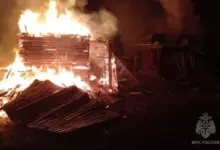 Пожары в Новосибирске: 16 возгораний, 3 пострадавших за 5 дней | МЧС