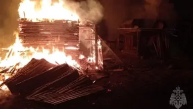 Пожары в Новосибирске: 16 возгораний, 3 пострадавших за 5 дней | МЧС Пожары в Новосибирске: 16 возгораний, 3 пострадавших за 5 дней | МЧС