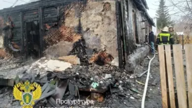 Гибель ребенка на пожаре в Улыбино: возбуждено уголовное дело Гибель ребенка на пожаре в Улыбино: возбуждено уголовное дело