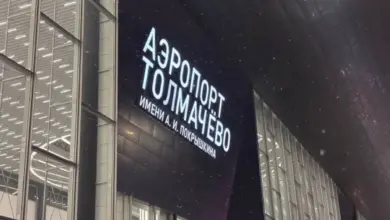 Задержки рейсов в Новосибирске 8 ноября: погода и Толмачево Задержки рейсов в Новосибирске 8 ноября: погода и Толмачево