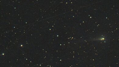 Метеорный бум в ноябре 2025 года: наблюдение Леонидов и кометы ATLAS