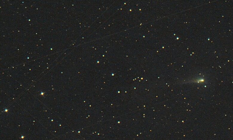 Метеорный бум в ноябре 2025 года: наблюдение Леонидов и кометы ATLAS