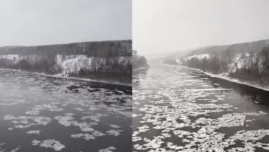 Снежура на реке Иня: редкое природное явление в Новосибирске Снежура на реке Иня: редкое природное явление в Новосибирске