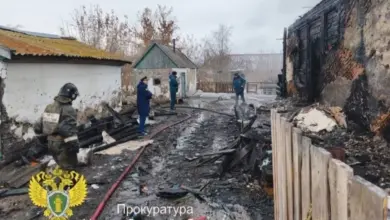 Пожар в Улыбино: погиб ребенок, 6 раненых, расследование