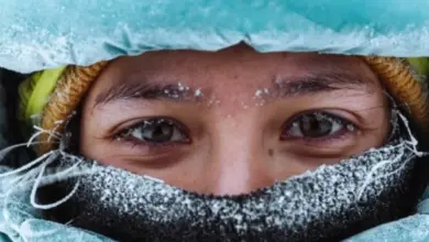 Почему лицо не мерзнет на морозе: научные объяснения устойчивости Почему лицо не мерзнет на морозе: научные объяснения устойчивости