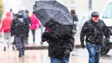 Погода в Новосибирске: снегопад, оттепель и дожди 8-9 ноября Погода в Новосибирске: снегопад, оттепель и дожди 8-9 ноября