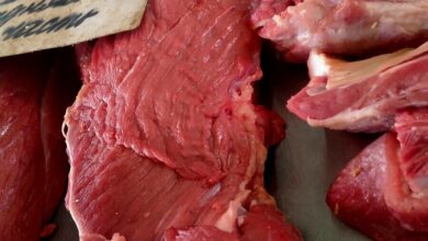 Говядина в Новосибирске дорожает: причины роста цен, ситуация на рынке и прогнозы экспертов «Стоит дорого, большинству не по карману»: говядина в Новосибирской области из-за роста цен стала элитным мясом