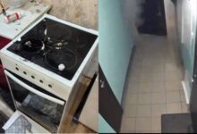 Взрыв дихлофоса в Новосибирске: собака включила плиту, детали МЧС