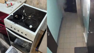 Взрыв дихлофоса в Новосибирске: собака включила плиту, детали МЧС Взрыв дихлофоса в Новосибирске: собака включила плиту, детали МЧС