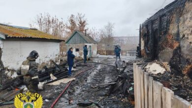 Пожар в Улыбино: гибель 12-летней девочки, возбуждено дело