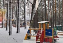 Дерево упало на детскую площадку в Первомайском парке Новосибирска