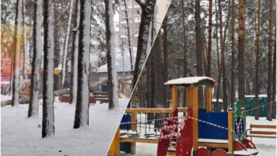 Дерево упало на детскую площадку в Первомайском парке Новосибирска