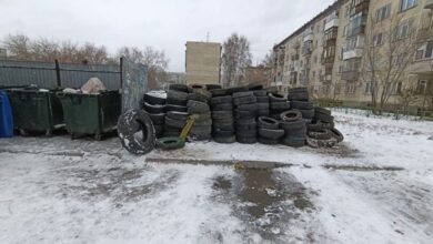 Незаконная свалка шин в Новосибирске: куда сдать покрышки Незаконная свалка шин в Новосибирске: куда сдать покрышки