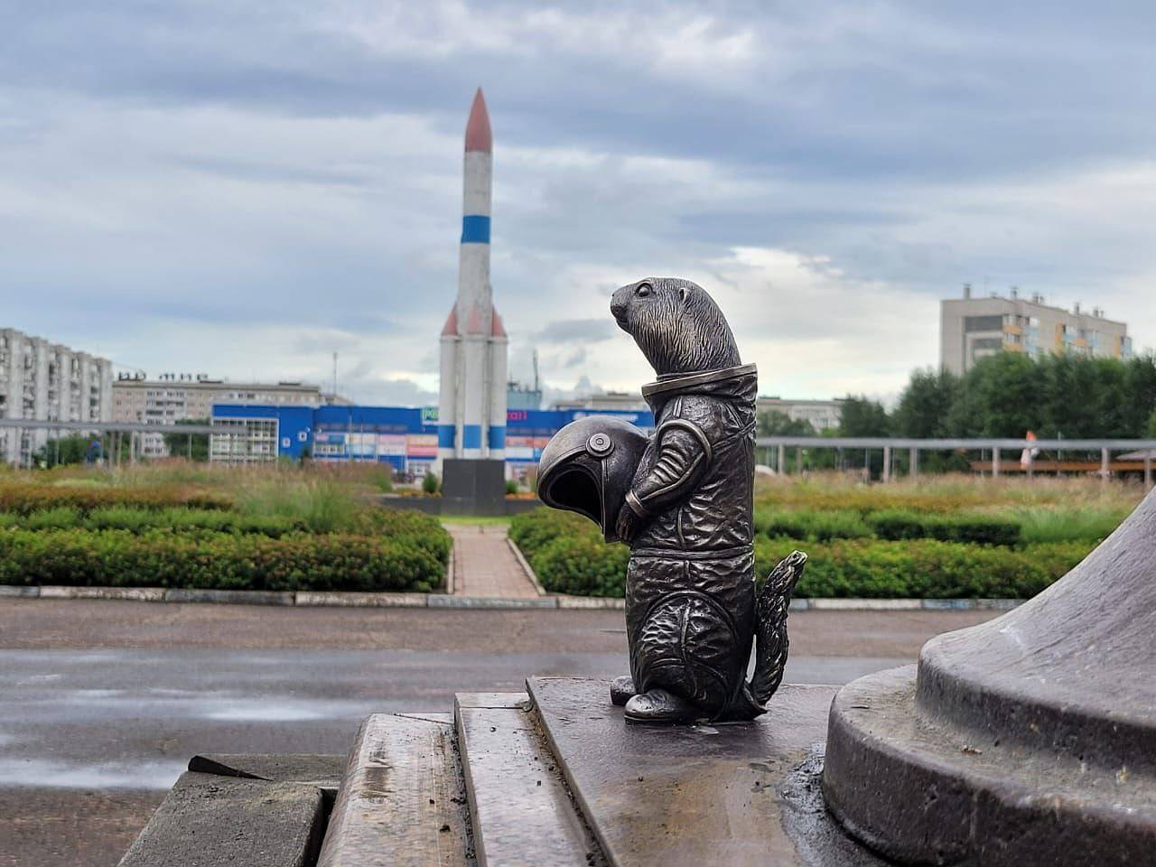 Бронзовый суслик в России получил имя из космоса