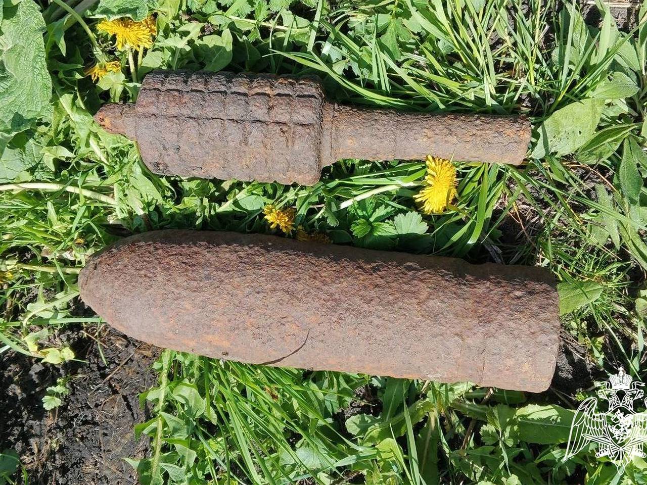 В российском поселке нашли снаряд и мину времен Гражданской войны